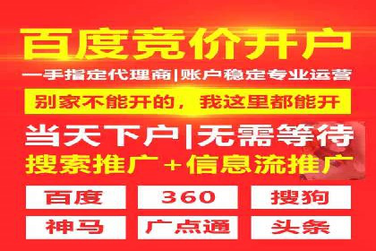 SEM优化策略案例分析