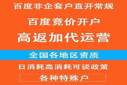 百度广告竞价策略解析与应用案例